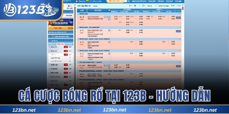 Cá cược bóng rổ