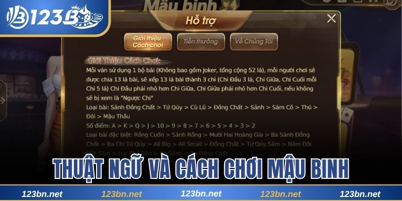 Thuật ngữ và cách chơi xập xám cụ thể