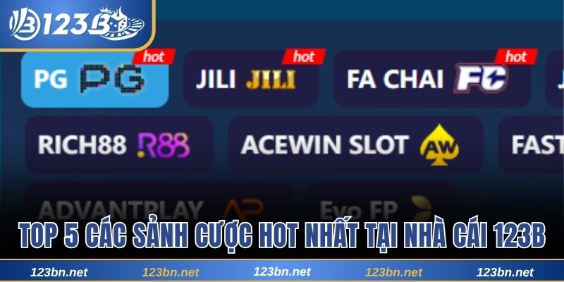 Top 5 các sảnh cược HOT nhất tại nhà cái